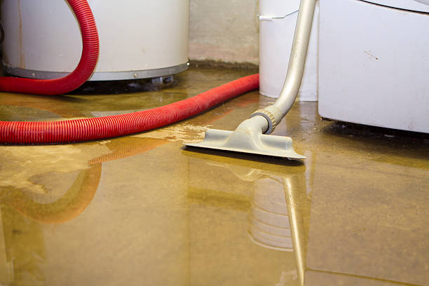 Best Water damage cleanup near me  in Oakton, VA